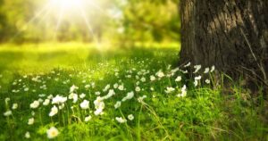 У Запоріжжі очікується потепління до +27°: синоптики прогнозують мінливу погоду