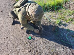 На Запоріжжі поліцейські врятували їжака з антидронової сітки (ФОТО)