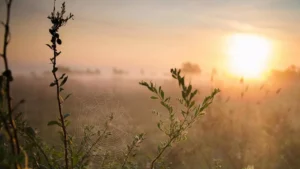 В Запорожье ожидается потепление до 26°: каким будет последняя неделя лета