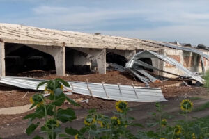 Крок ідеш, три лежиш”: фермер показав реалії життя в Комишувасі на Запоріжжі (ВІДЕО)