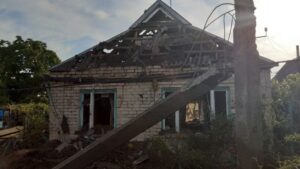 Через атаку дрона на Кушугум частина селища залишилася без світла
