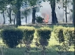 Пожежу фіксують у парку Запоріжжя після атаки БпЛА (ВІДЕО)