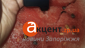 Небезпечні кавуни у Запоріжжі? Покупець оприлюднив шокуючий результат перевірки