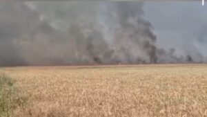 В Запорожской области загорелись пшеничные поля: огонь охватил посевы в Беленьком (ВИДЕО)