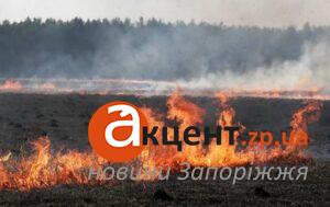 В Запорожской области объявили высокий уровень пожарной опасности