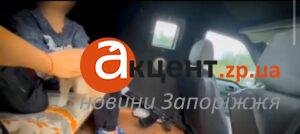 «Булочку не оставлю»: из прифронтового села в Запорожской области эвакуировали двух детей с котенком (ВИДЕО)