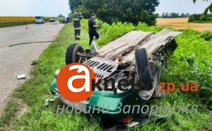 Пьяный водитель выехал на встречную полосу: в ДТП в Запорожской области погибли две женщины (ФОТО)
