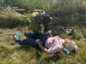 У Запорізькому районі легковик врізався в дерево: 73-річну водійку госпіталізували