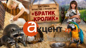 У Запоріжжі можна погладити єнотів, велетенських кроликів і черепах: як працює виставка «Братик Кролик» (ФОТО, ВІДЕО)