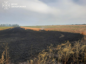Вогонь на хлібному полі та у житловому секторі: як запорізькі рятувальники долали наслідки атак (ФОТО)